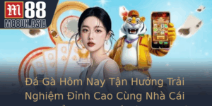 A Ga Hom Nay Tan Huong Trai Nghiem Inh Cao Cung Nha Cai M88 Tong Quan Ve San Choi Ca Cuoc Uy Tin