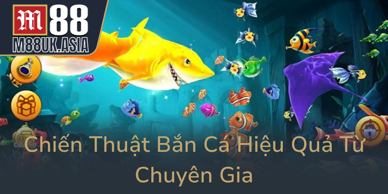Chien Thuat Ban Ca Hieu Qua Tu Chuyen Gia0 1