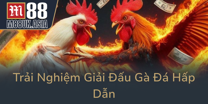 Trai Nghiem Giai Dau Ga Da Hap Dan0