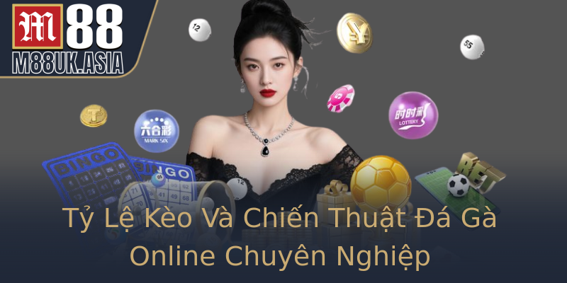 Tỷ Lệ Kèo Và Chiến Thuật Đá Gà Online Chuyên Nghiệp Tỷ Lệ Kèo Và Chiến Thuật Đá Gà Online Chuyên Nghiệp